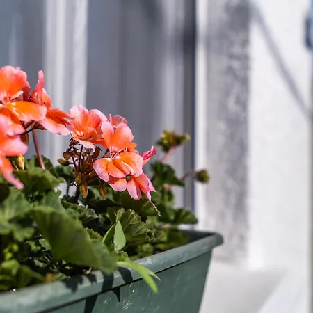 Margit Ház Nyaraló