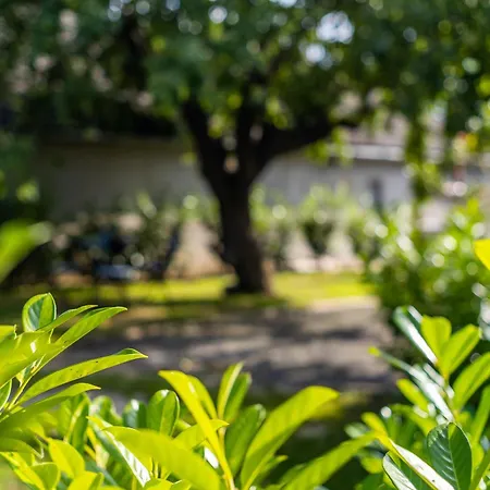 Margit Ház Nyaraló *