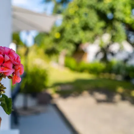 Margit Haz * Немесбюк