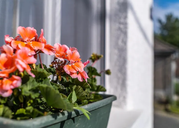 Margit Ház Nyaraló