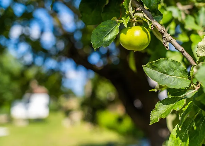 Margit Haz Σπίτι διακοπών *
