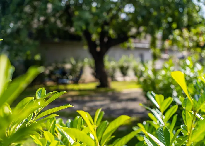 Margit Haz Σπίτι διακοπών *