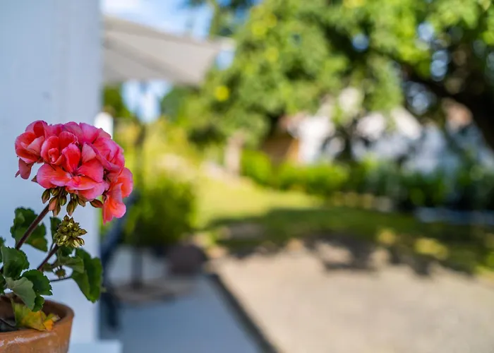 Margit Haz * Nemesbükk